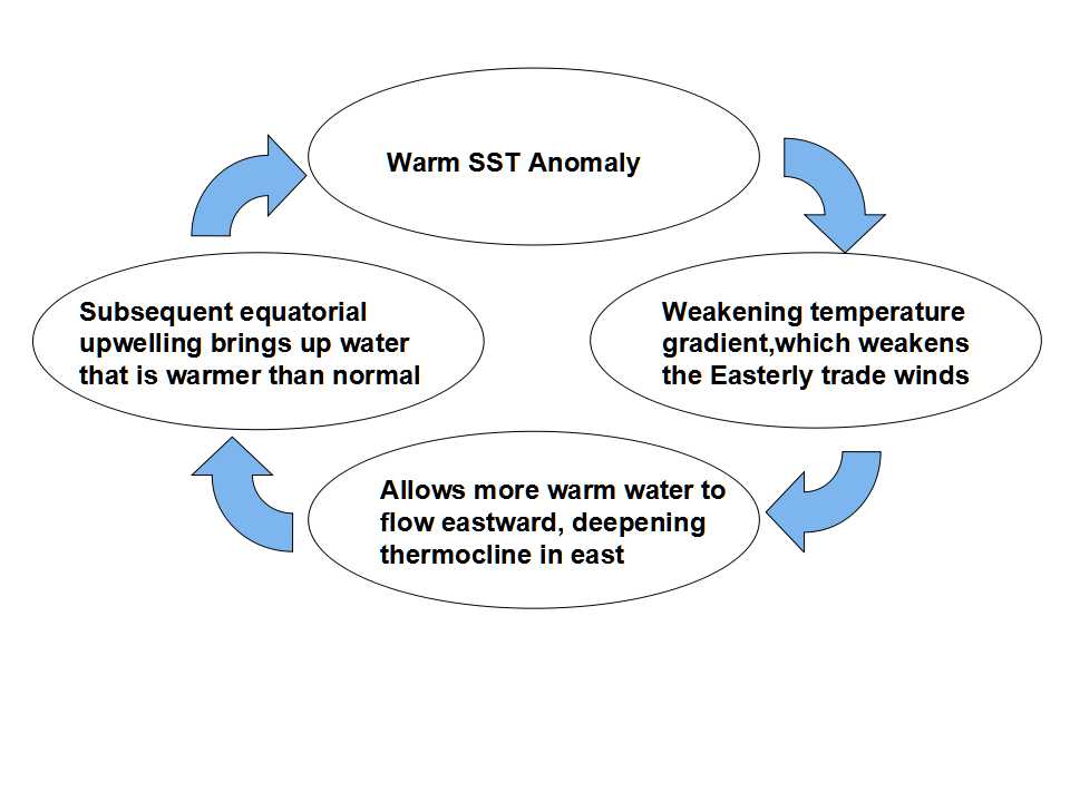 ENSO Cycle 4