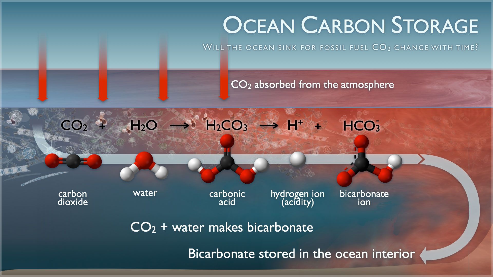 8lrtxibuouhqy8limppbfwkc76e5k_rxa9xbrm8mssw