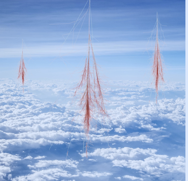 screenshot-2017-12-19-09.20.33