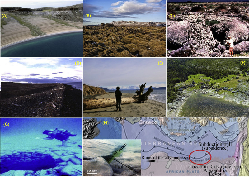 1-s2-0-s1674987118300446-gr13