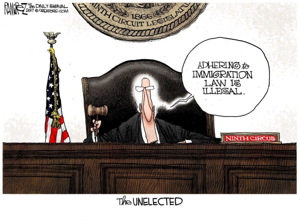the-unelected