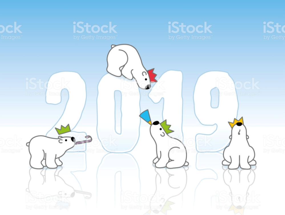 2019 with bears