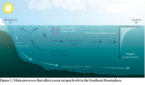 ocean oxygen