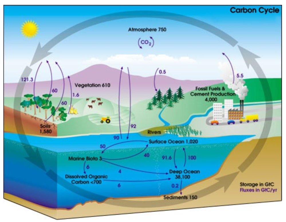 nasa_carbon_cycle_2008-1