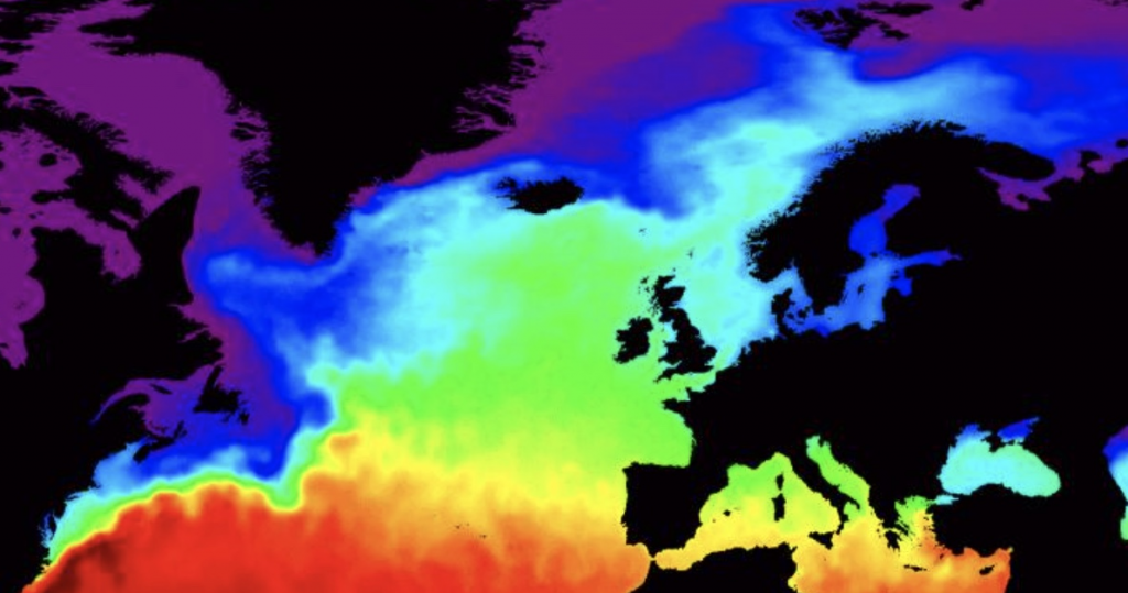 screenshot-2021-06-07-at-12.17.38-1024x539-1